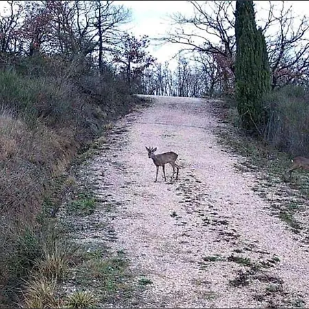 Domek alpejski La Bandita *