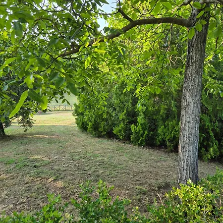 La Bandita * San Venanzo