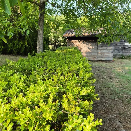 La Bandita San Venanzo