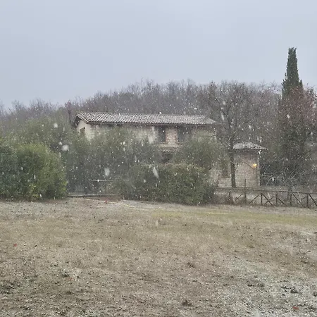 La Bandita San Venanzo